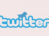 FDP kämpft gegen falsche Follower