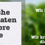 Facebook Timeline lockt mit Werbung