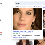 +1-Button für Bilder, Social Image Search
