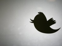Twitter auf Erfolgskurs in Deutschland